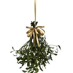 Mistletoe Kisses hanging bundle