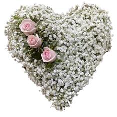 Ethereal Gypsophila Heart 