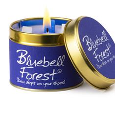 Bluebell Forest Scented Candle 