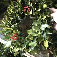 Pre Order Fresh Holly Wreath