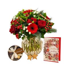 Cinnamon Star Collection