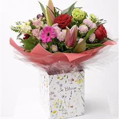 The Mon Cherie Bloom