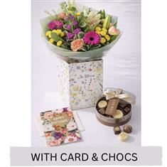 The Birthday Treat Collection 