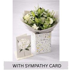 The Thinking of You Gift Collection