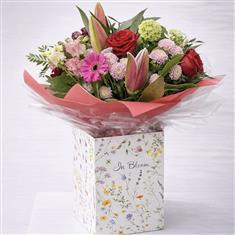 The Mon Cherie Bloom