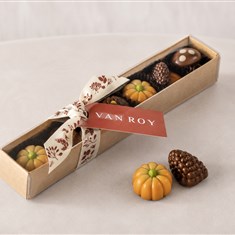 PUMPKIN PATCH CHOCOLATES